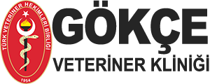 Gökçe Veteriner Kliniği
